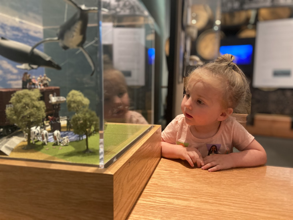 Child looking in a terrarium