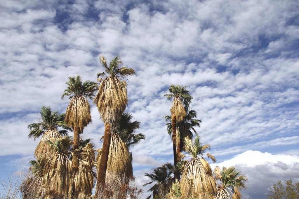 Photo Tripping America - National Parks - Outdoorsy