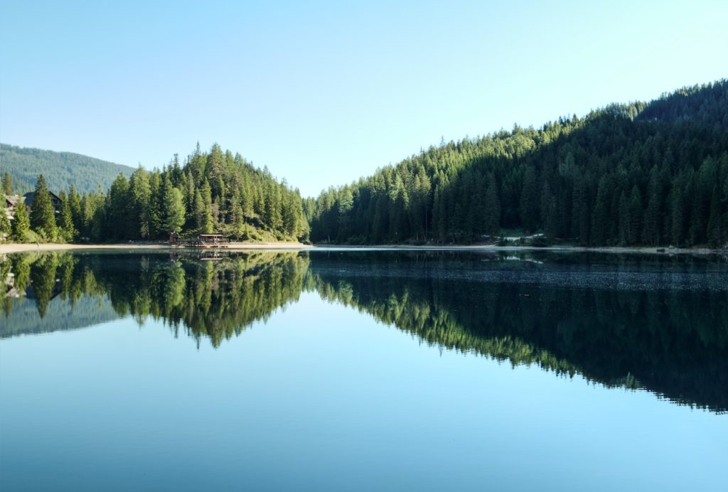 forest lake 