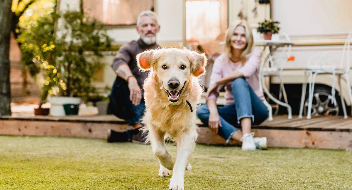 Best Dog-Friendly RV Campgrounds in America (and How to Vet Any Park's Pet Policy)