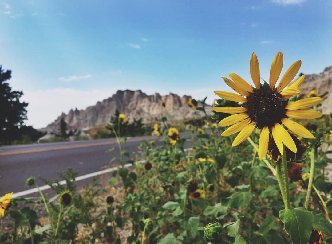 16 National Parks | Outdoorsy