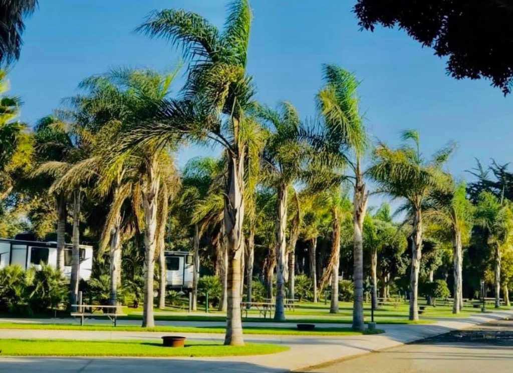 ventura beach rv park