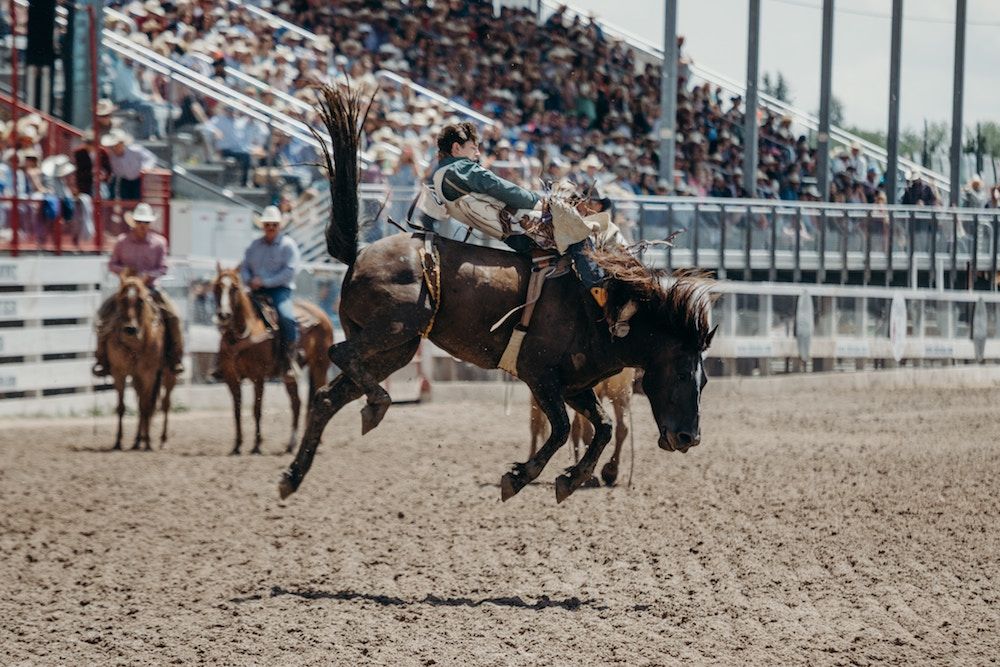 Cheyenne, Wyoming | Outdoorsy