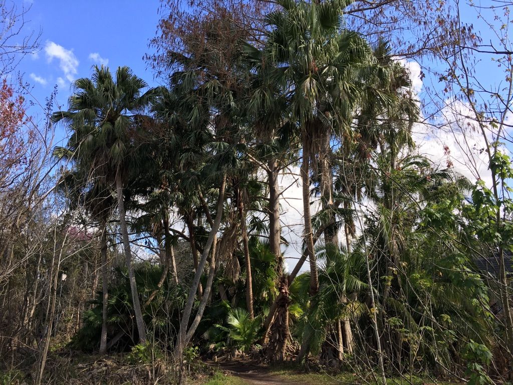 Mead Botanical Garden, Winter Park, FL | Outdoorsy
