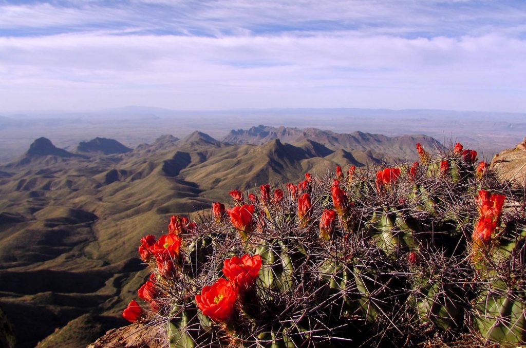 Photo Tripping America - National Parks - Outdoorsy