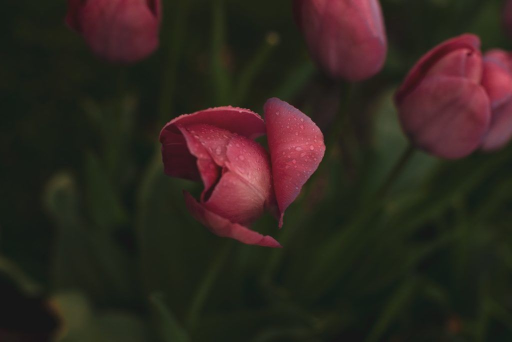 spring destinations