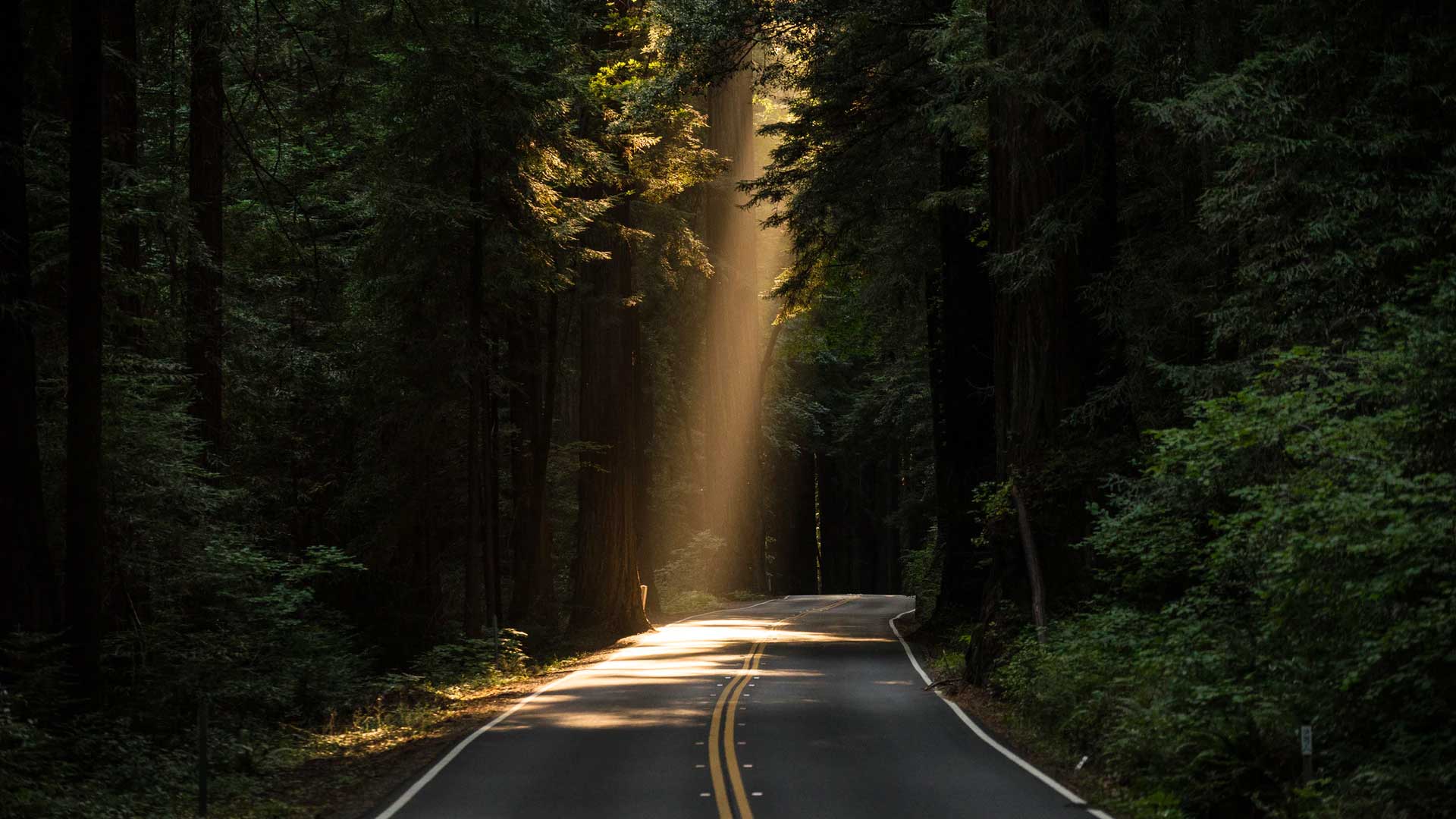 Mapping the Road Ahead: An Owner-Led Q&amp;A with Outdoorsy’s Leadership Team