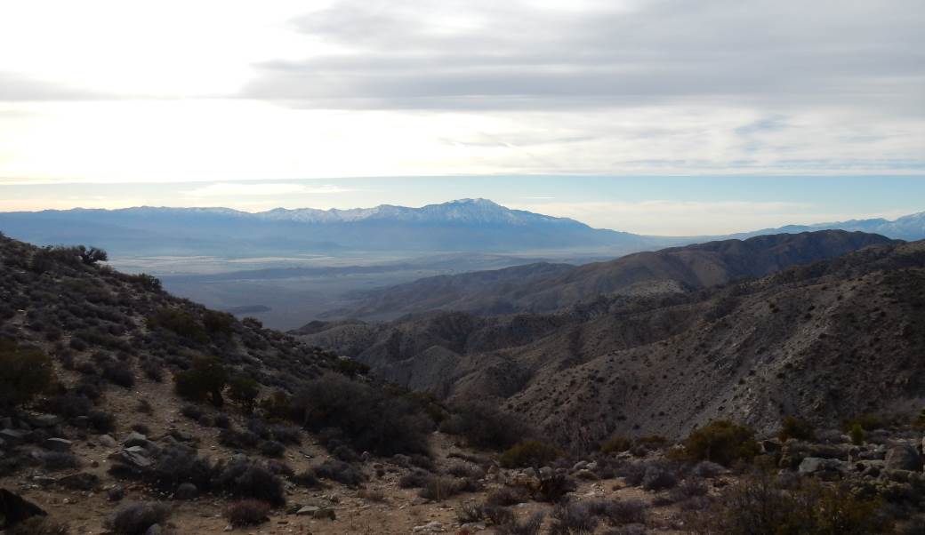 RV Adventures in Joshua Tree National Park / Outdoorsy RV Rental Marketplace