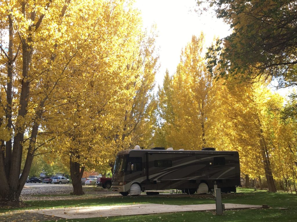 Uncompahgre River RV Park