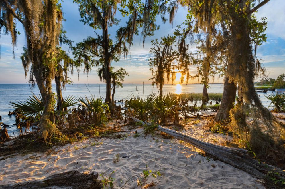 winter camping in Louisiana