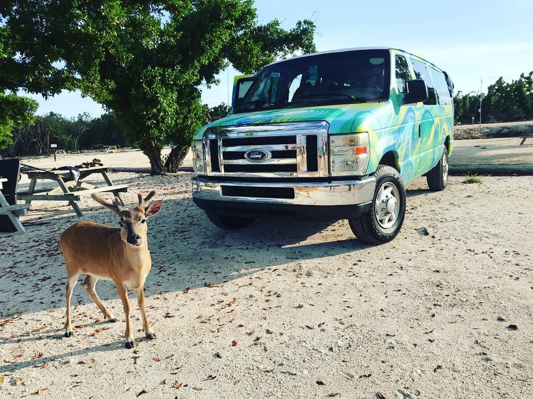 Ondevan Campervan | Outdoorsy