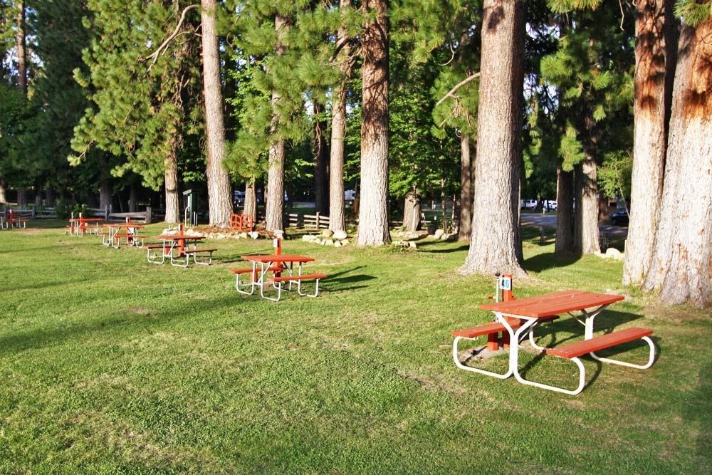 McCloud RV Resort 