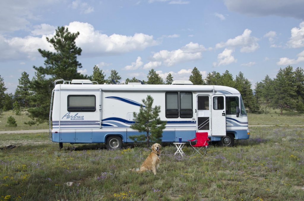 Photo Tripping America - Traveling With Your Pet - Outdoorsy