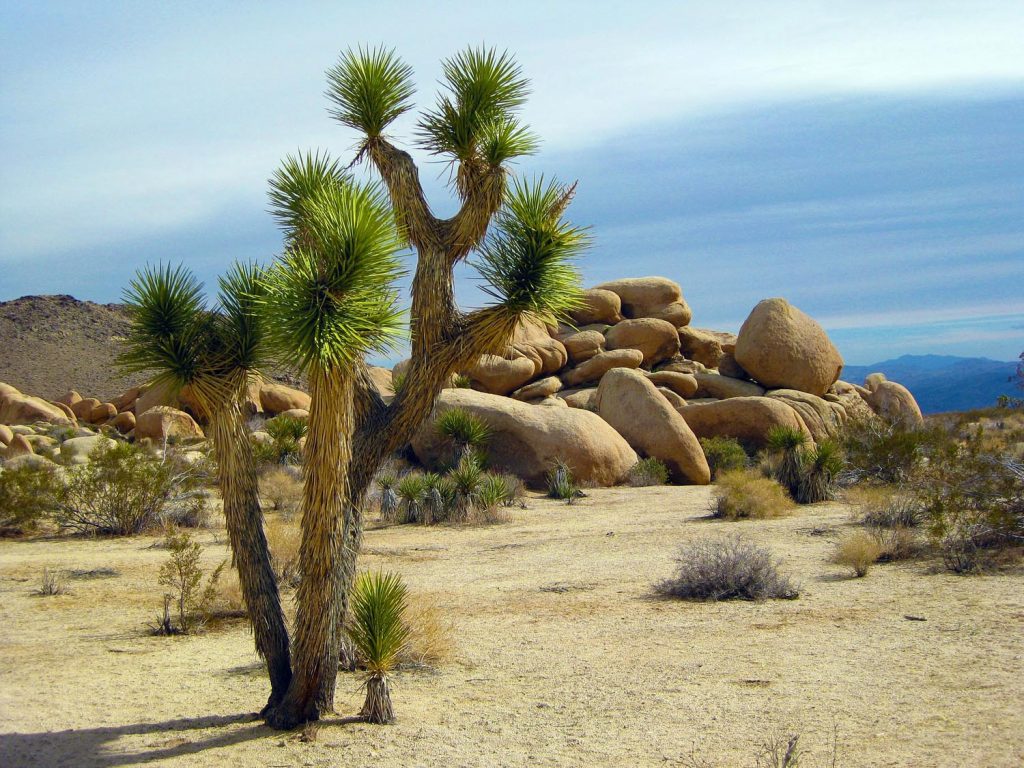 Photo Tripping America - National Parks - Outdoorsy