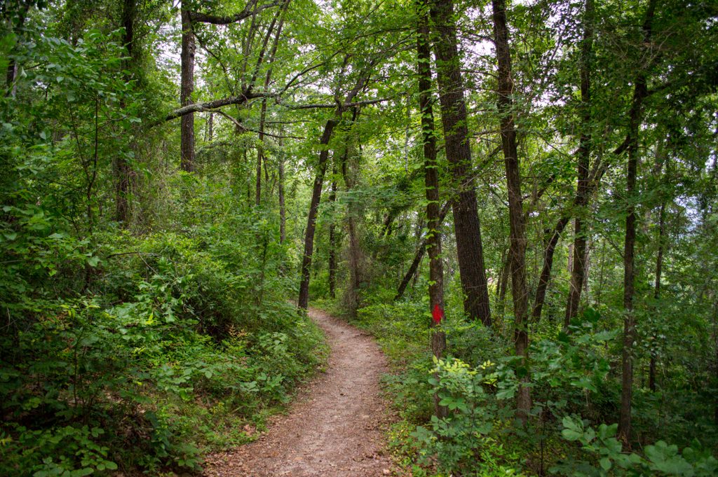 Guide to Visiting Hot Springs, AR | Outdoorsy