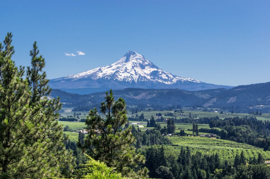 Mount Hood RV Boondocking