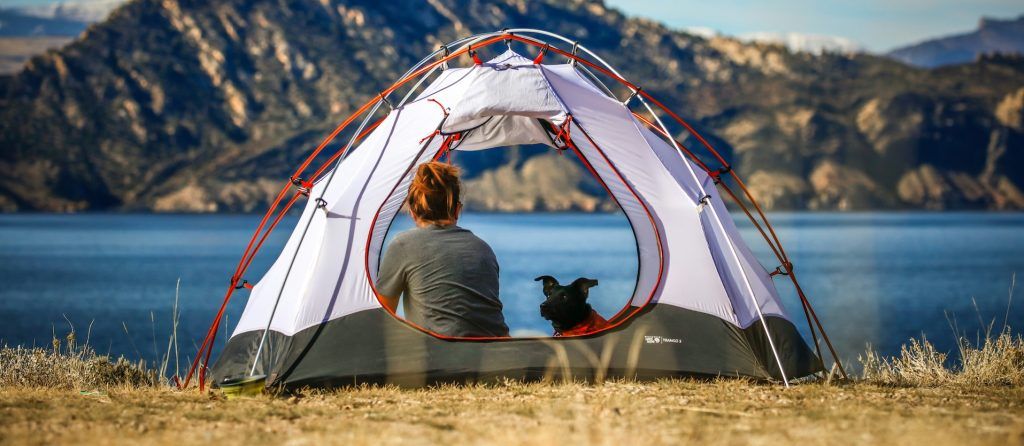 Dog camping