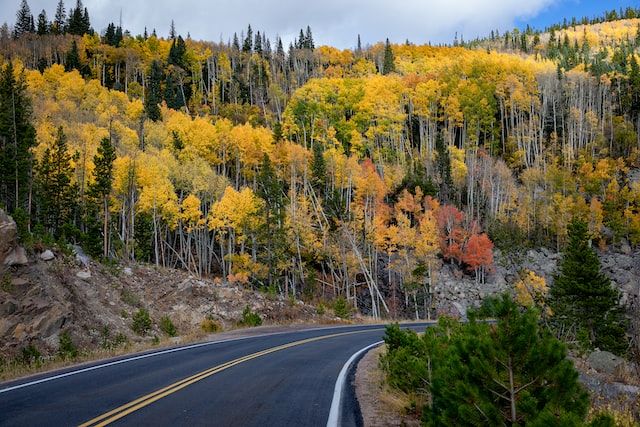 denver fall foliage