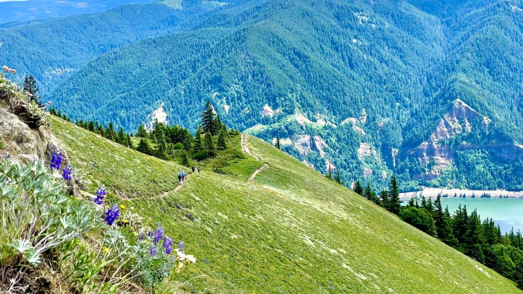 spring trails