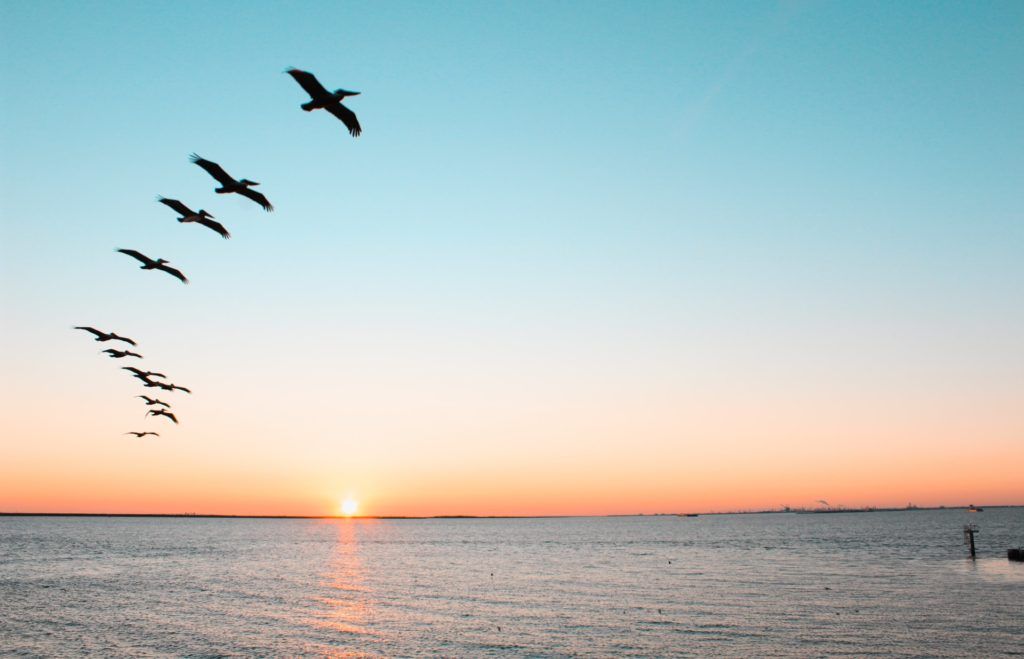 Galveston, TX