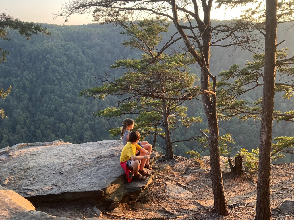 Kids looking out over nature