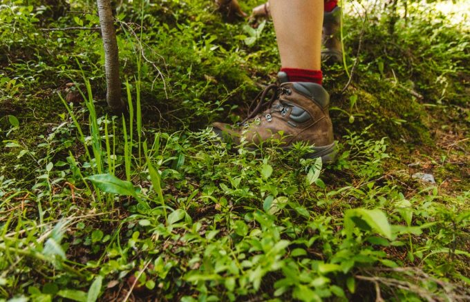 How To Go On A Foraging Adventure