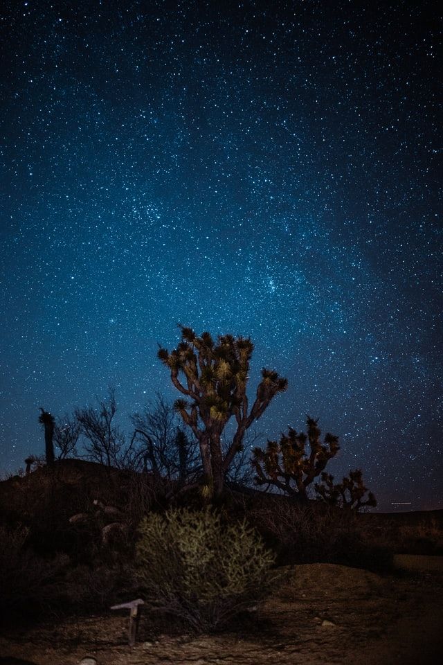 glamping southern california