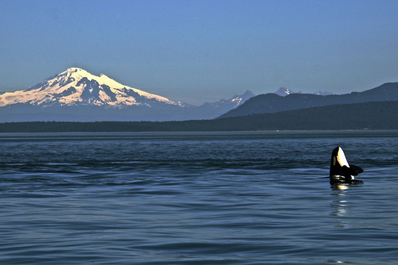 San Juan Islands, WA | Outdoorsy
