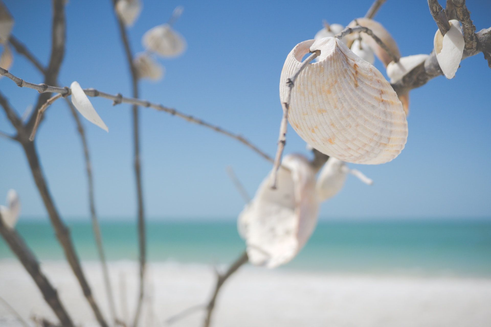 Beach, Naples, FL I Outdoorsy RV Rental Marketplace