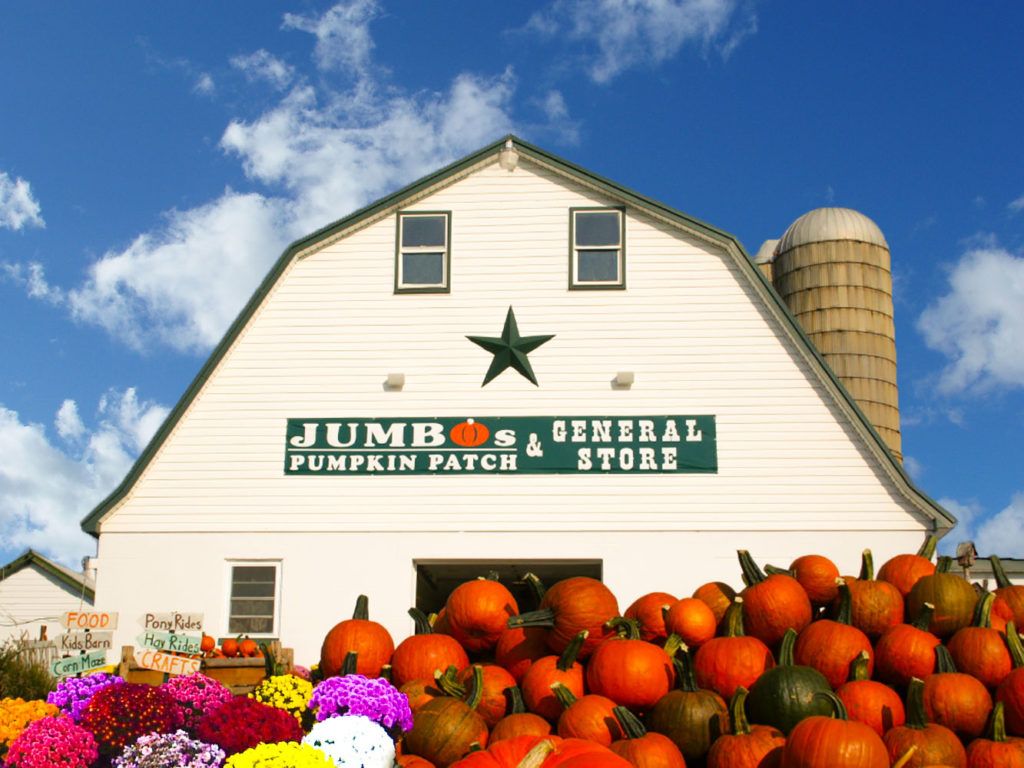 pumpkin patches in Marylanf