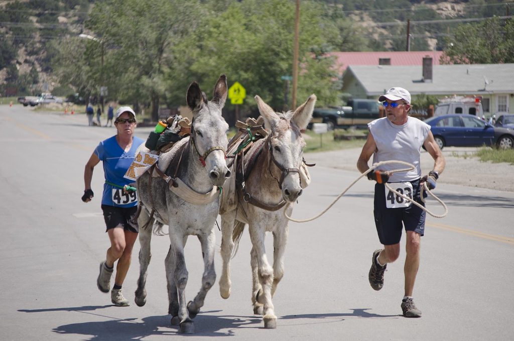 Photo Tripping America - Barb-Dolan - Outdoorsy