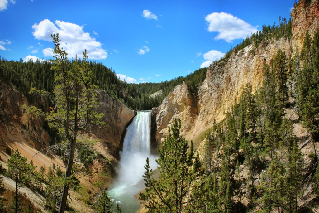 Yellowstone