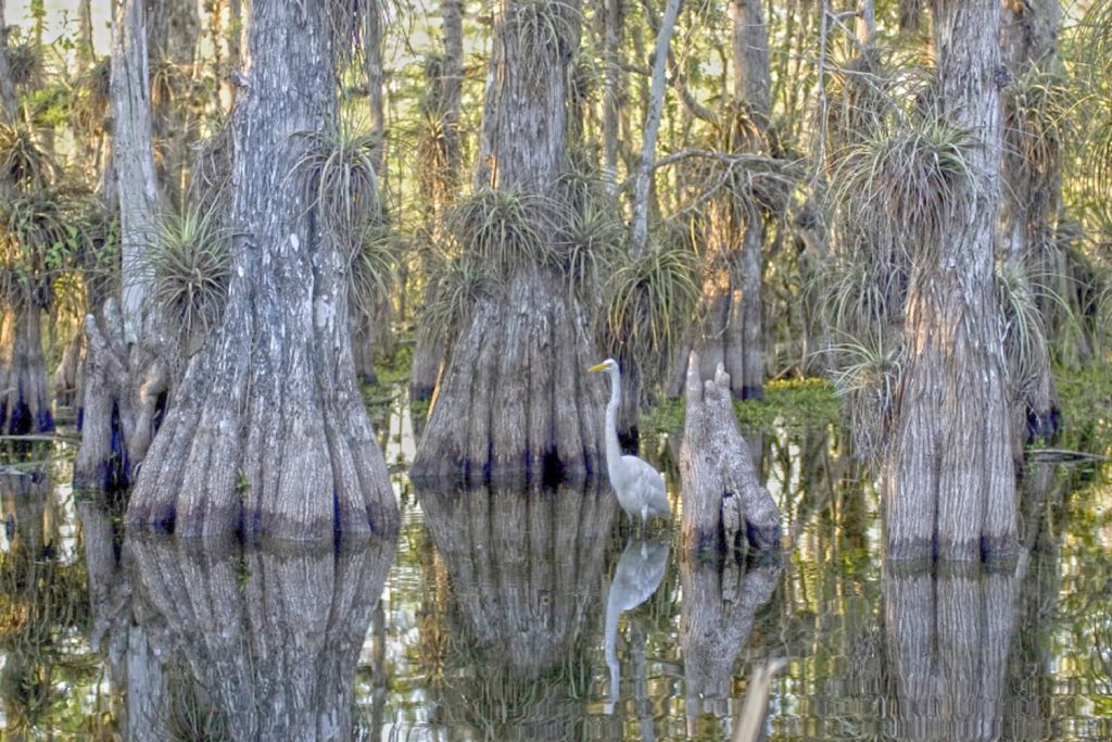 Photo Tripping America - National Parks - Outdoorsy