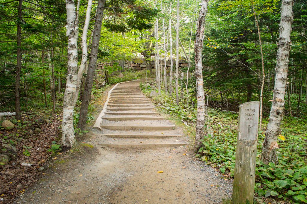 Top 5 Activities to do at Acadia National Park | Outdoorsy