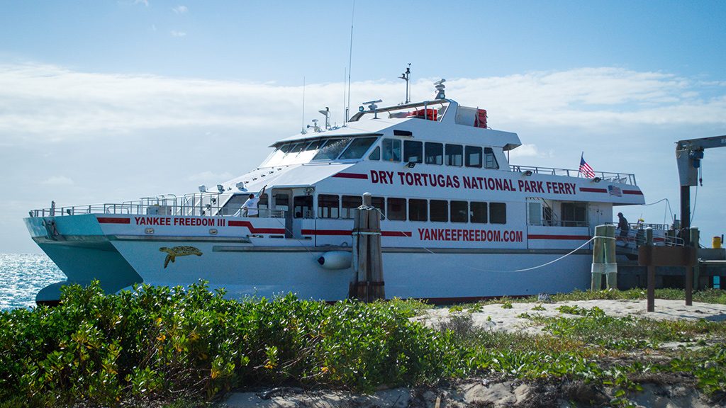 Activities at Dry Tortugas | Outdoorsy