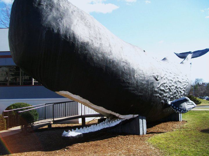 31 Weird Pit Stop Attractions In The U.S | Outdoorsy 31 Weird Pit Stop Attractions In The U.S | Outdoorsy