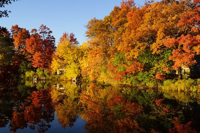 minneapolis fall foliage
