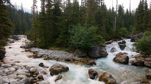 Gushing river amongst trees and rocks
