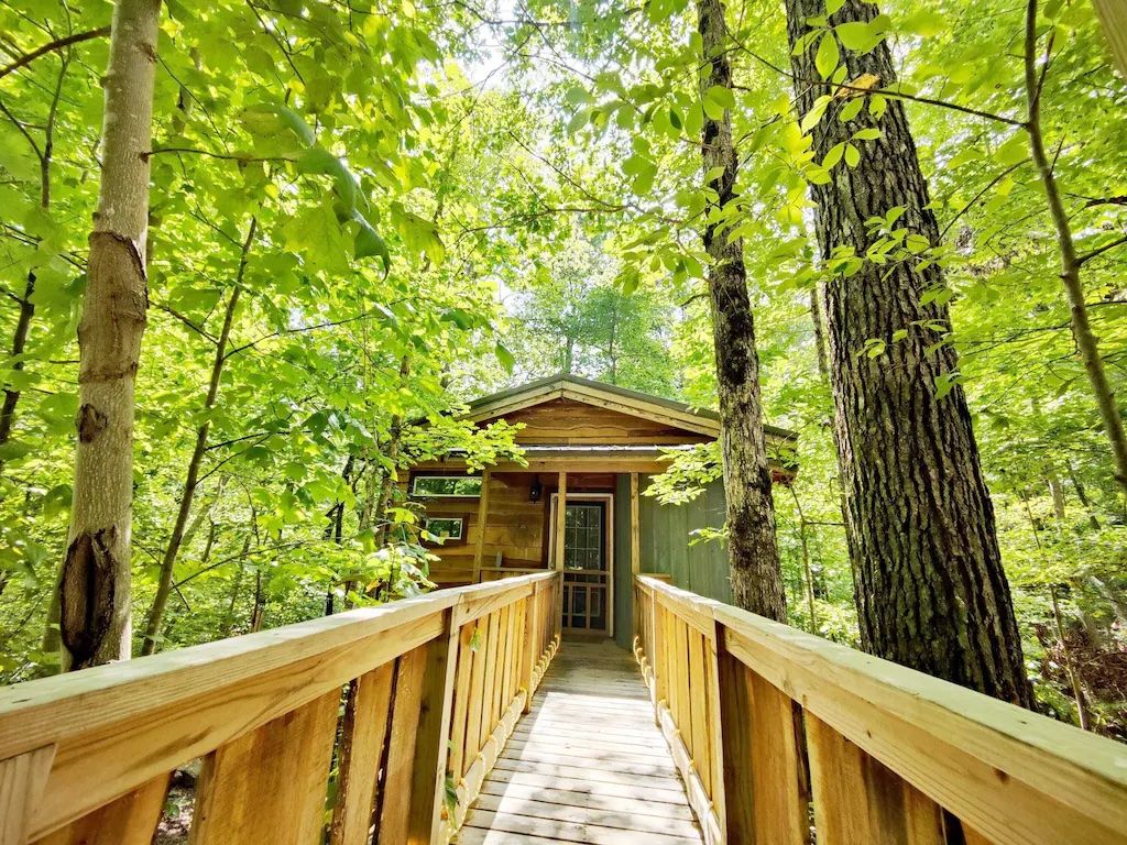 tree house rentals in tennessee