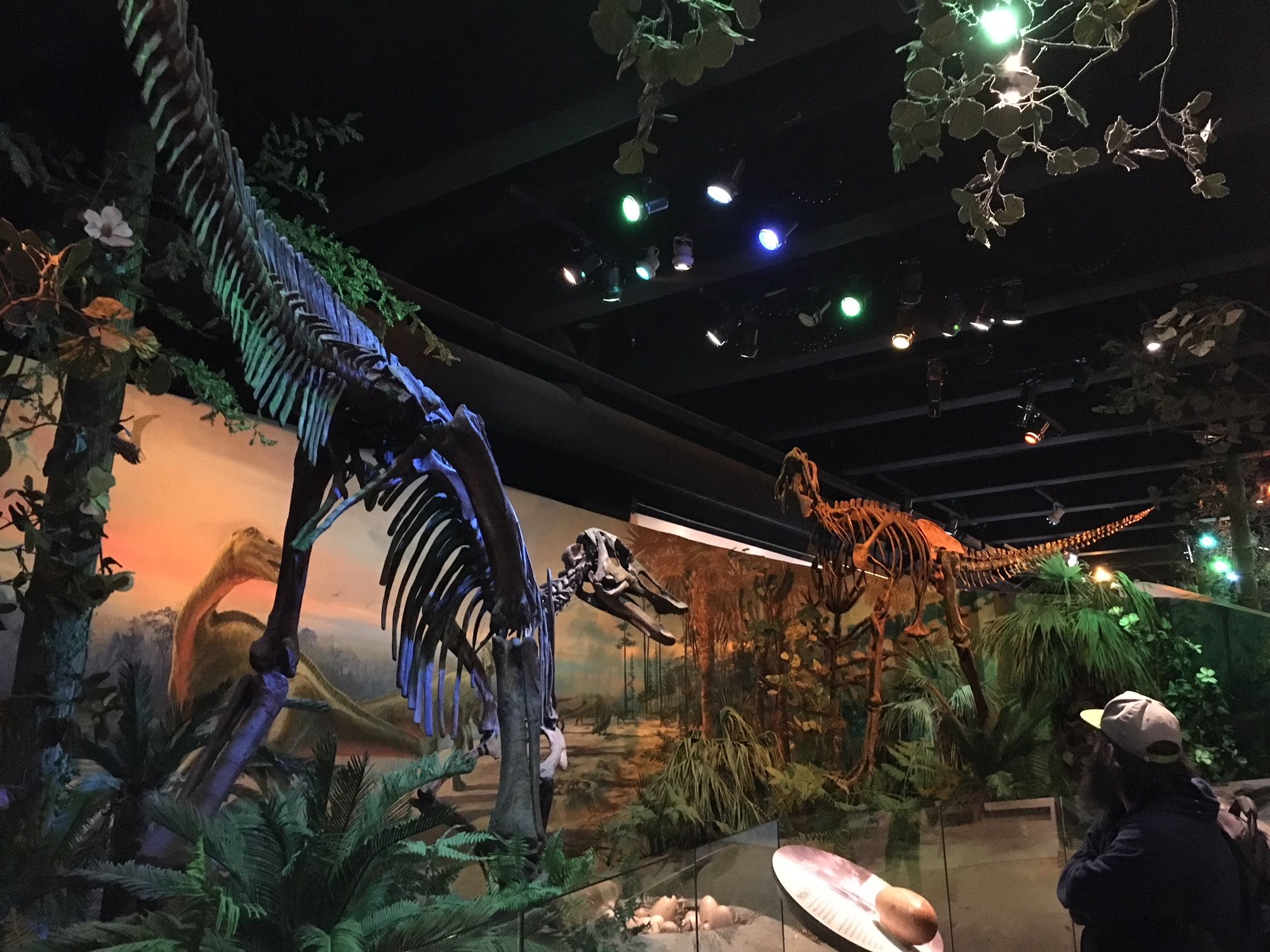 North Carolina Museum of Natural History, Raleigh, NC I Outdoorsy RV Rental Marketplace
