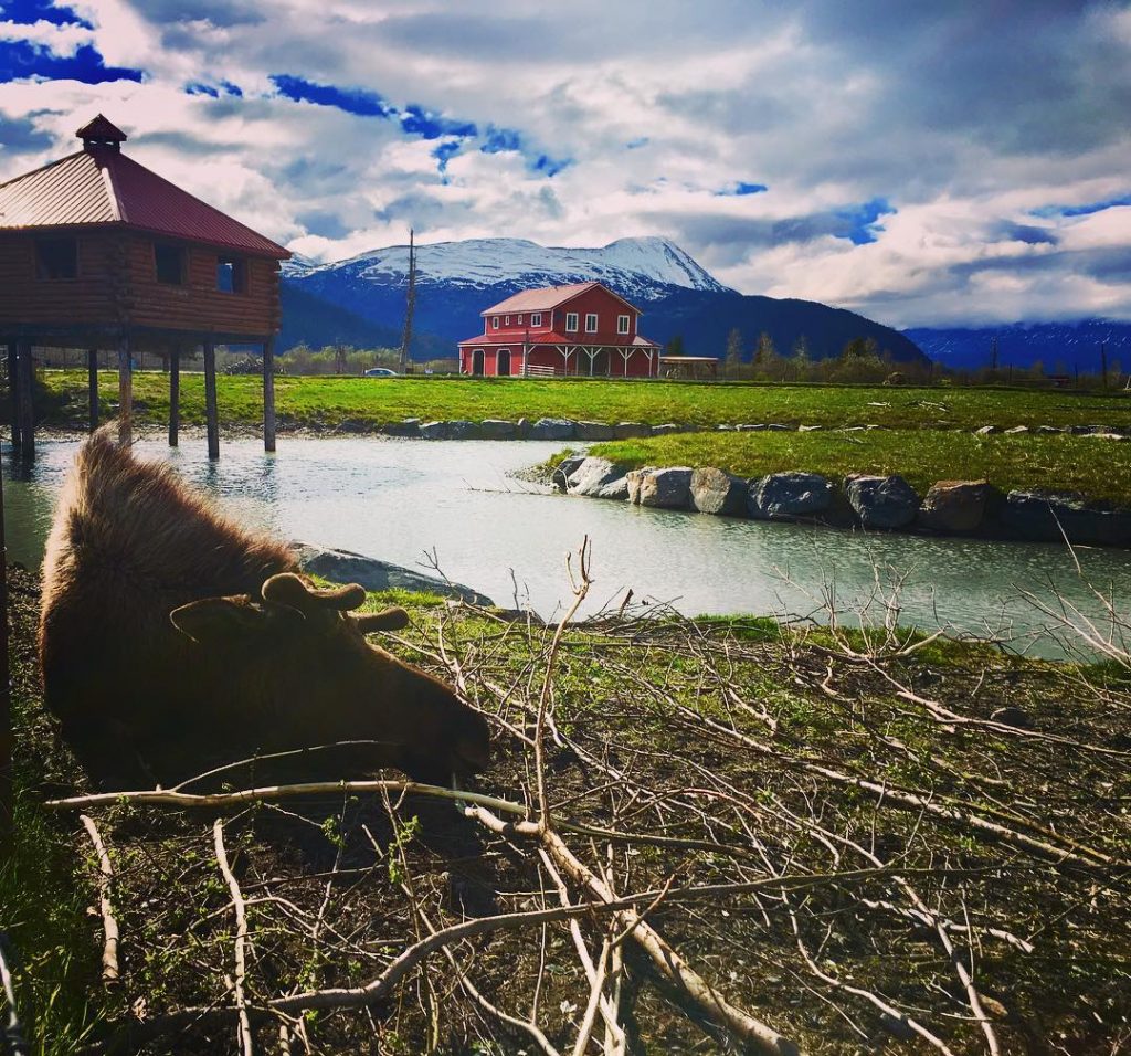 An Epic Alaskan Road Trip