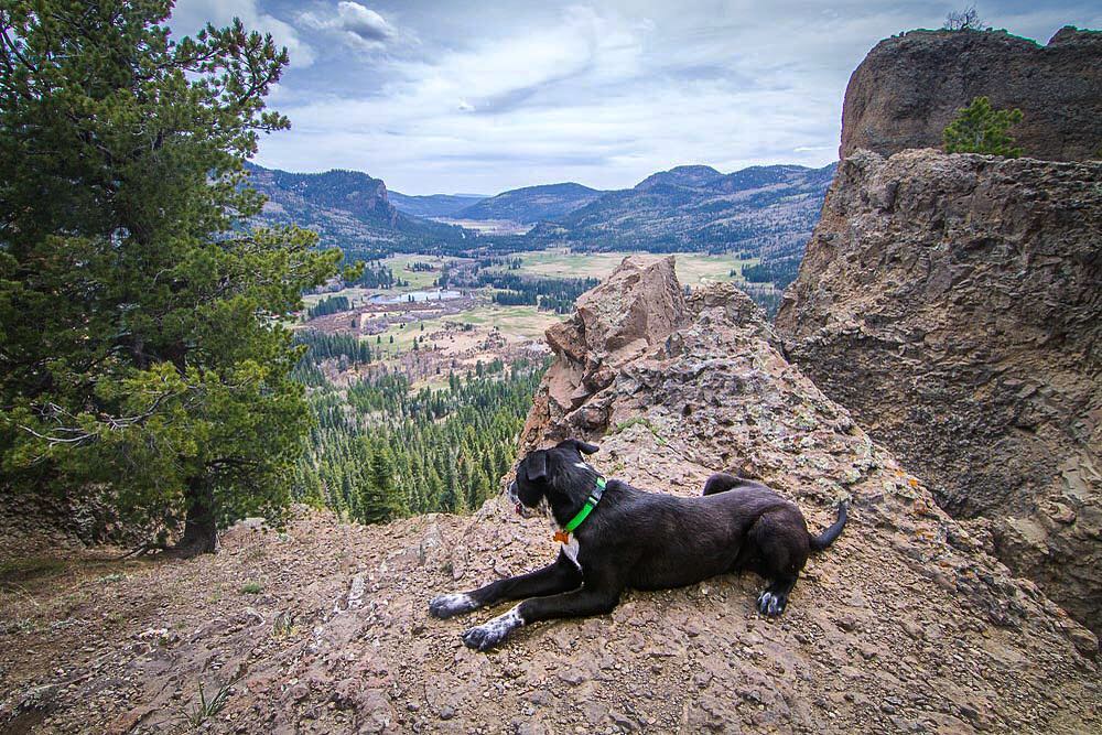 New Mexico| Outdoorsy