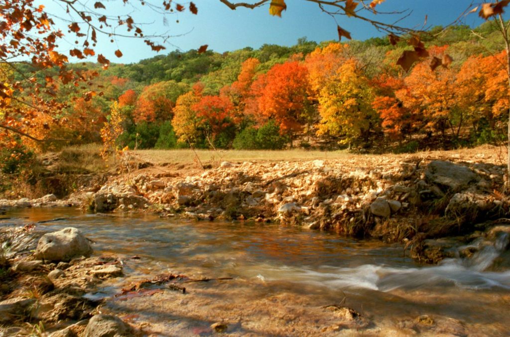Lost Maples State Natural Area