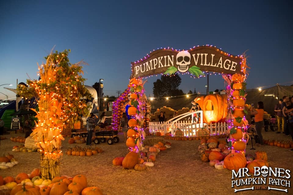 best pumpkin patches
