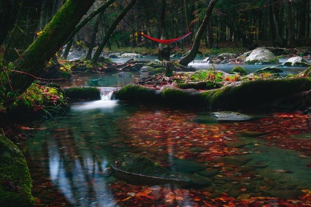 glamping tennessee