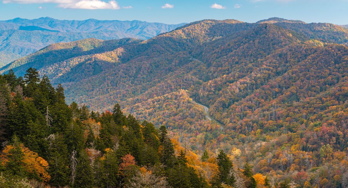 Best RV campgrounds in Tennessee: A Smoky-Mountains-to-Music-City guide