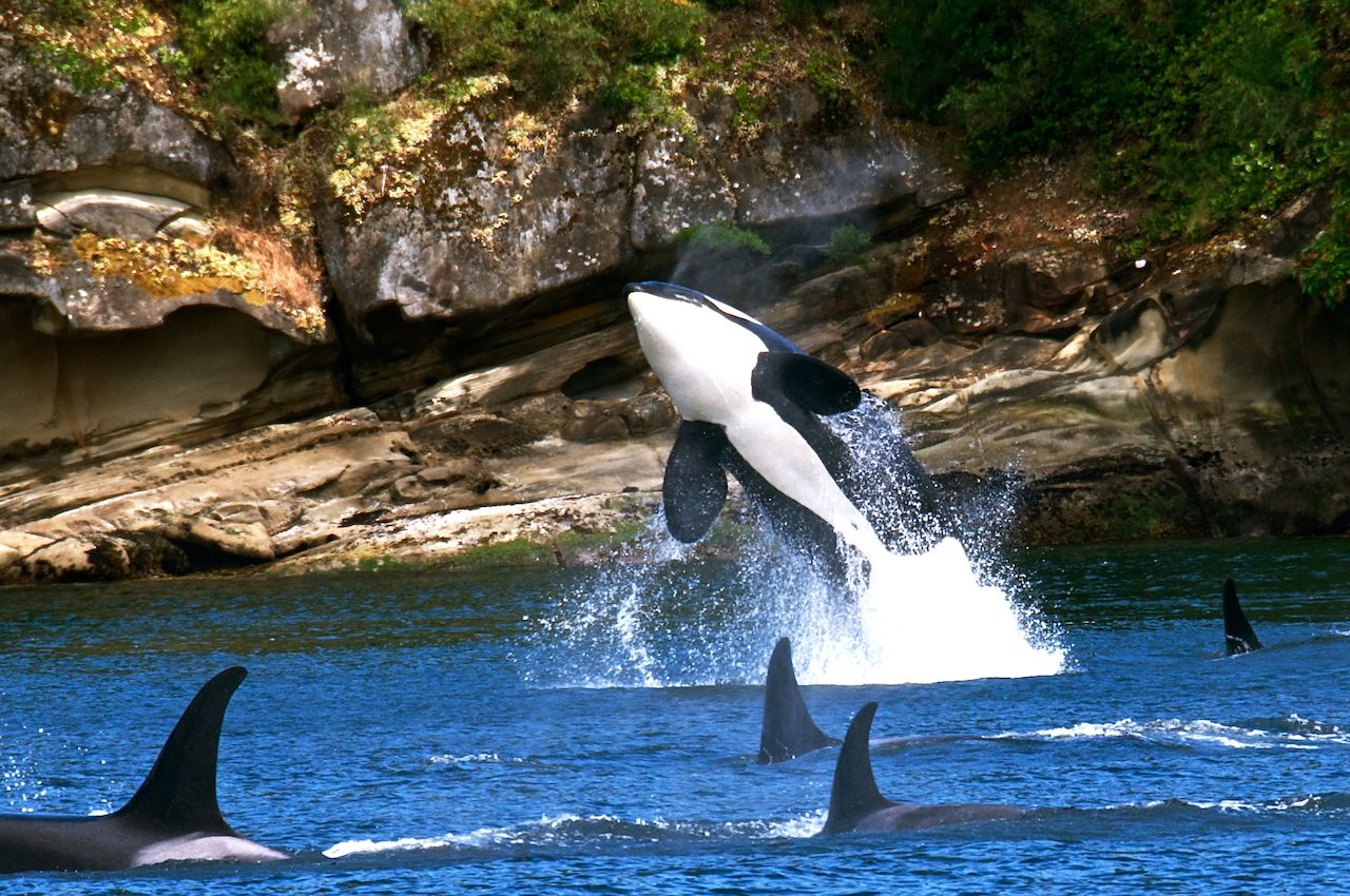 Travel Guide to the San Juan Islands, WA