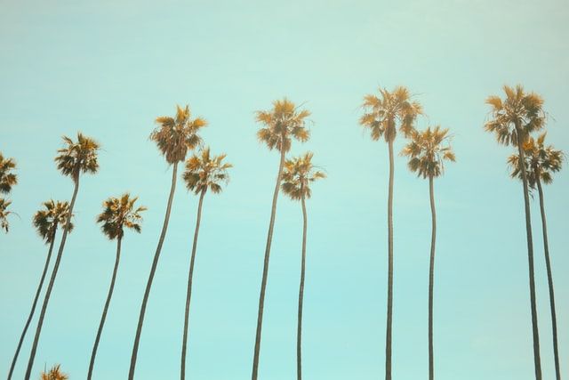 southern california