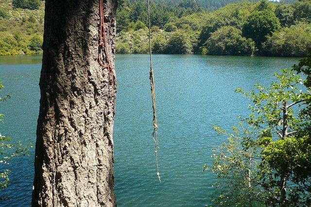 Best Swimming Holes In The Bay Area | Outdoorsy