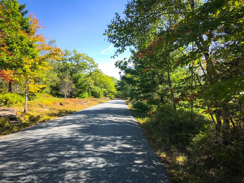 Top 5 Activities to do at Acadia National Park | Outdoorsy